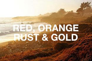Reds, Orange, Rust & Gold Rugs